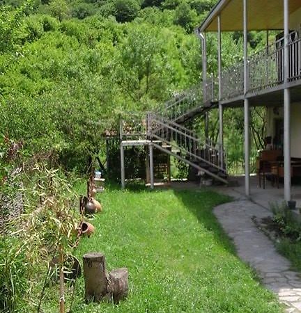 Marine'S Guest House Ananuri Bagian luar foto