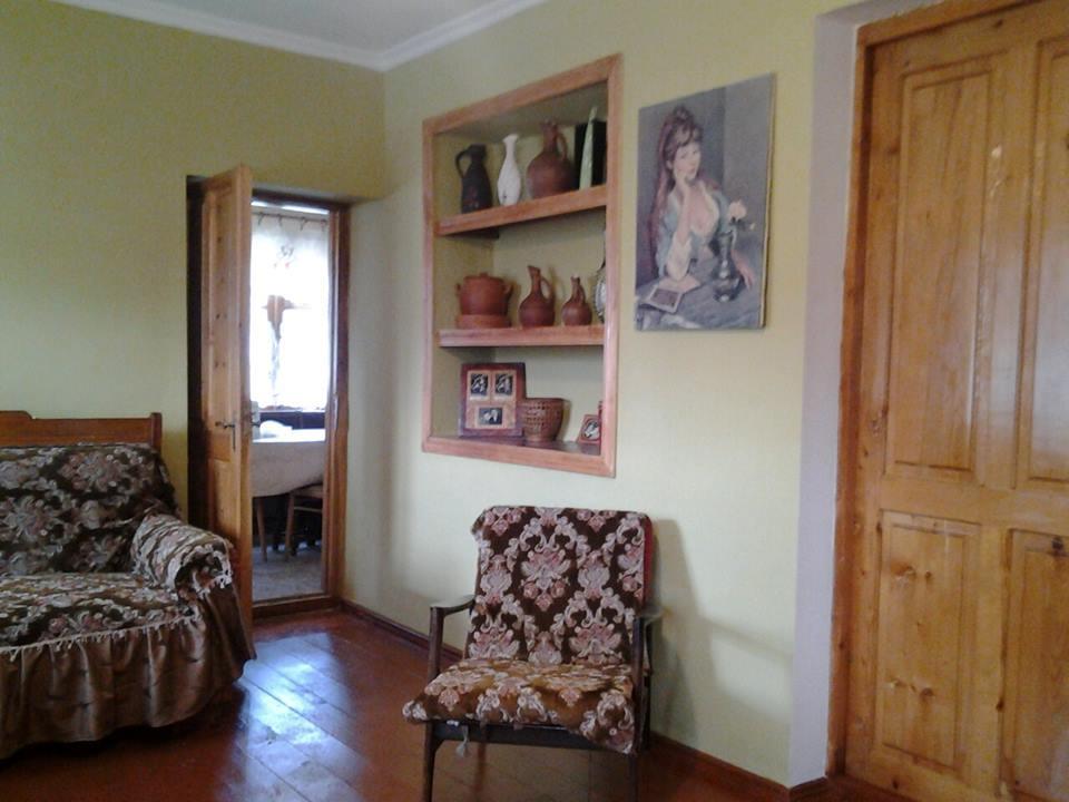 Marine'S Guest House Ananuri Bagian luar foto