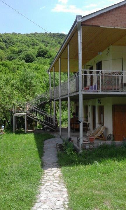 Marine'S Guest House Ananuri Bagian luar foto