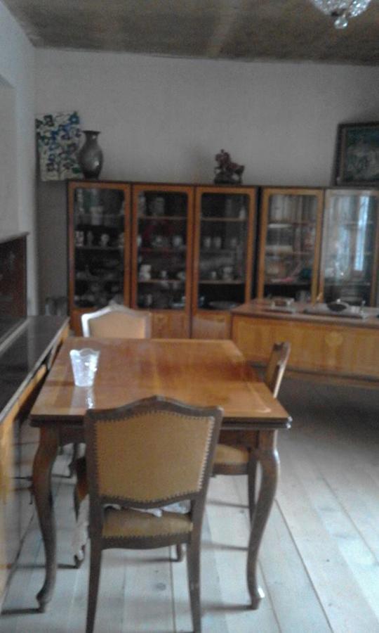 Marine'S Guest House Ananuri Bagian luar foto