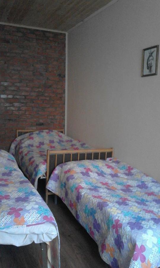 Marine'S Guest House Ananuri Bagian luar foto