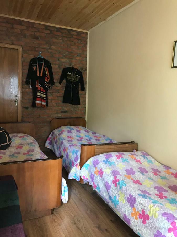 Marine'S Guest House Ananuri Bagian luar foto